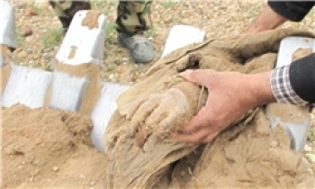 ادامه عملیات تفحص شهدا تا کشف همه مناطق عراق