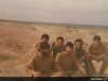 محمد رضا گوسفند شناس