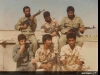 فریدون بختیاری رضایی