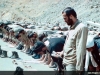 حسین خرازی