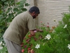 احمد كاظمي